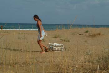 pulizia spiaggia eloro020